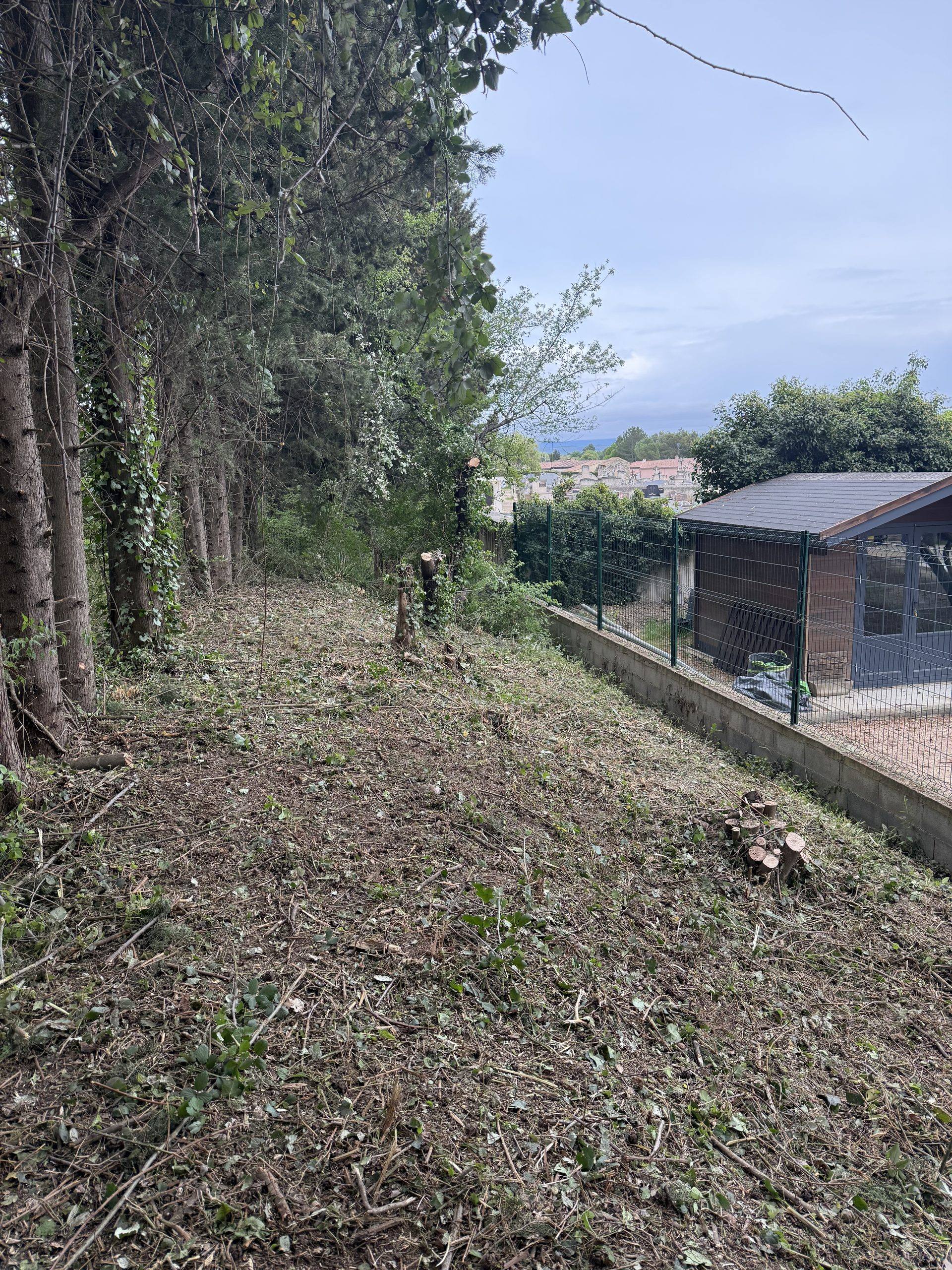 Terrain après débroussaillage — terrain dégagé