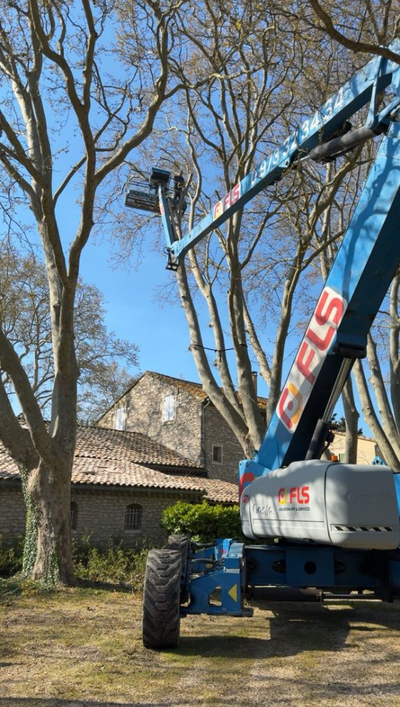 Chantier d'élagage avec nacelle élévatrice