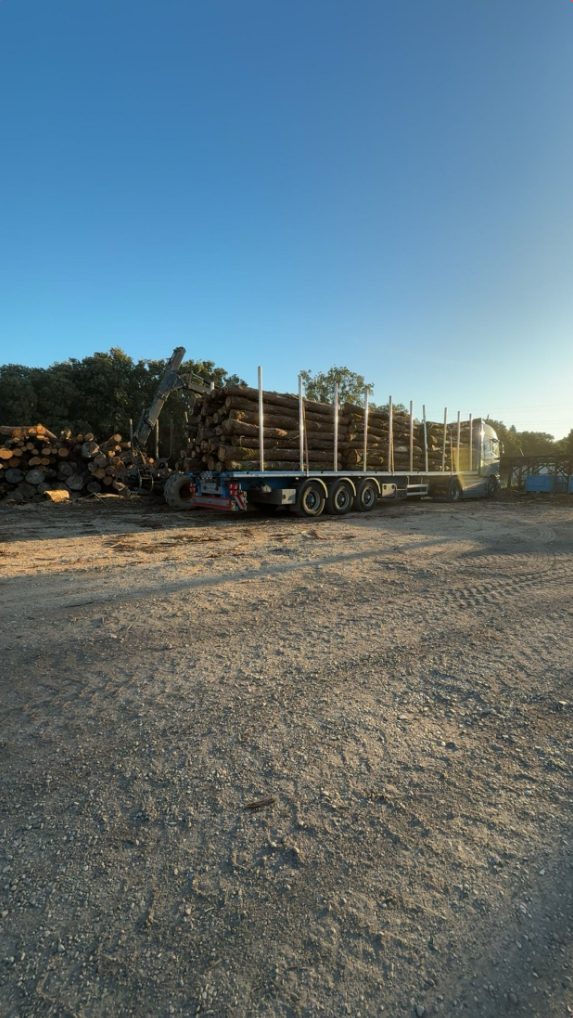 Livraison de billes de bois